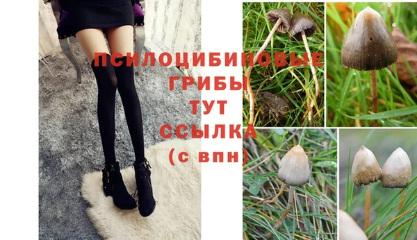 твердый Каменка