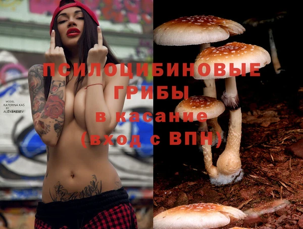первитин Каменногорск