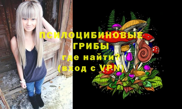 твердый Каменка