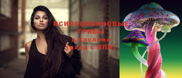 первитин Каменногорск
