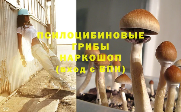 первитин Каменногорск