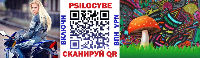 Псилоцибиновые грибы Cubensis Видное